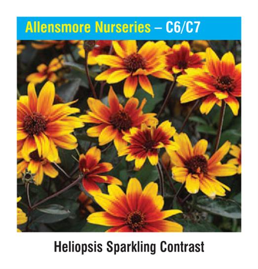 Allensmore Nurseries